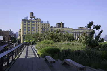 High Line at Gansvoort today